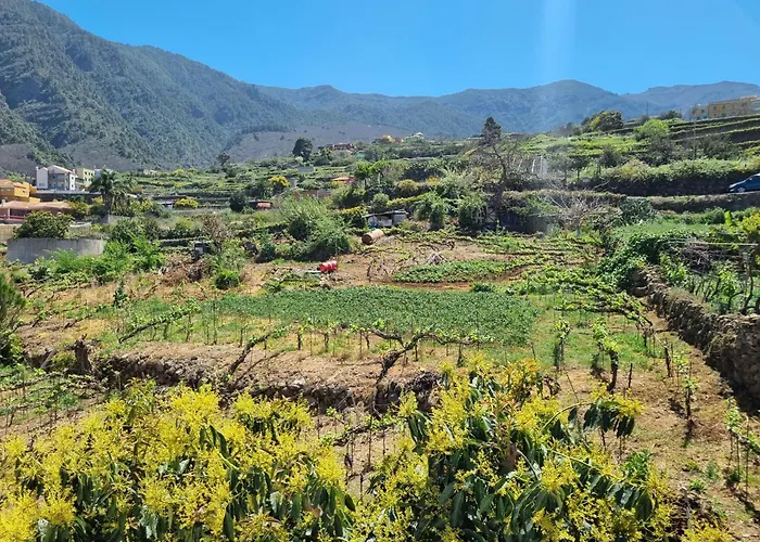 Ca Na Paula Hébergement de vacances La Orotava
