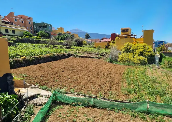 Ca Na Paula Tatil Evi *