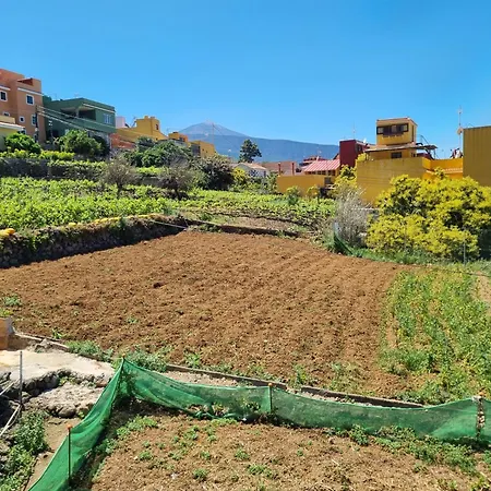 Ca Na Paula 別荘 *